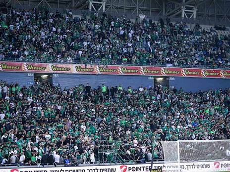 הפנים לגביע (מאור אלקסלסי)