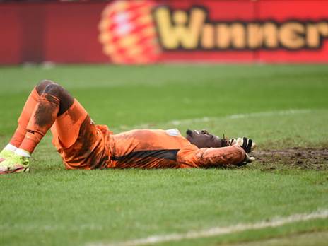 מצב הדשא במי עופר (ברני ארדוב)