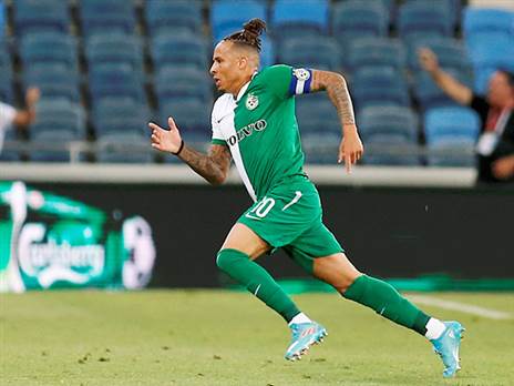 שרי. ראוי (אלן שיבר)