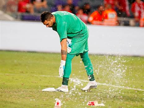 גד עמוס. ספג חםצים לאזור הרחבה שלו (אלן שיבר)