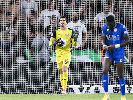 לבקוביץ'. אריה חביב החדש? (מאור אלקסלסי)