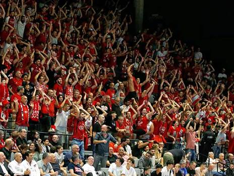 טענות קשות מצד האוהדים (אלן שיבר)