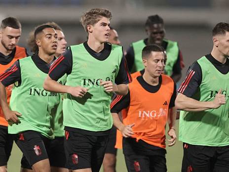 הכי מנוסים במונדיאל. בלגיה (GETTY)