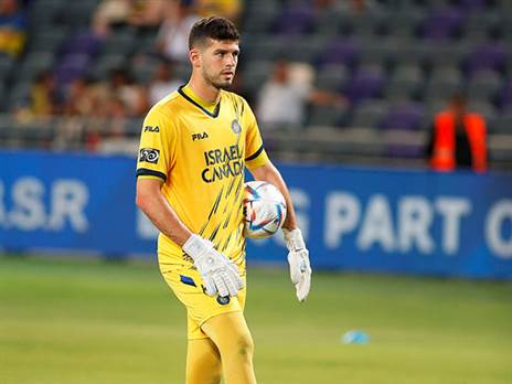 טננבאום. חוזר לשער (אלן שיבר)