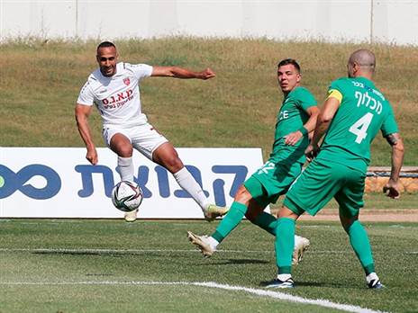 ראדי (אלן שיבר)