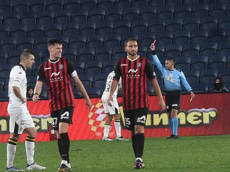 ייאלצו להסתדר בלי המאמן (ברני ארדוב)