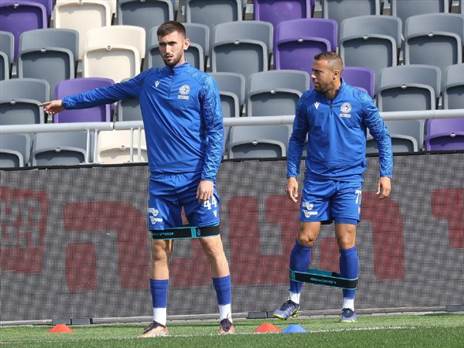 (ברני ארדוב)