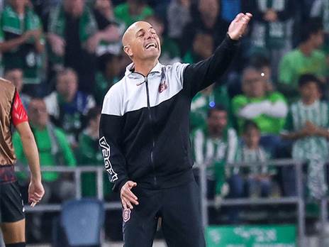 אריה. ההוכחה שהיציבות משתלמת (ברני ארדוב)