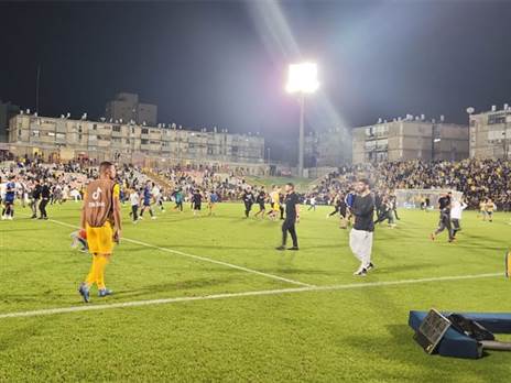 אוהדים על הדשא