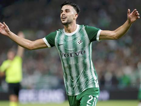 נשאר ירוק. דוד (אלן שיבר)