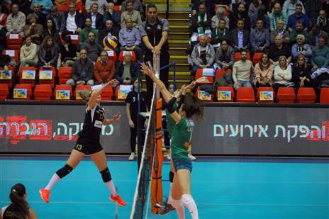 (איגוד הכדורעף)