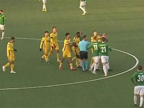 מהומה על הדשא