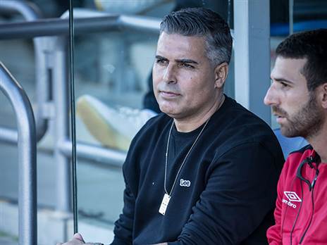 חזר למגרשים, סילבס