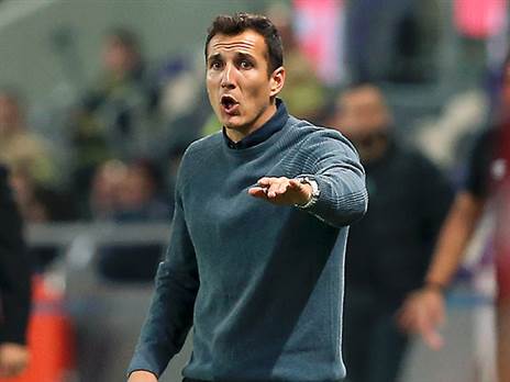 מוציא מעט מהרבה. יחסית. בורחה למה (צילום: אלן שיבר)