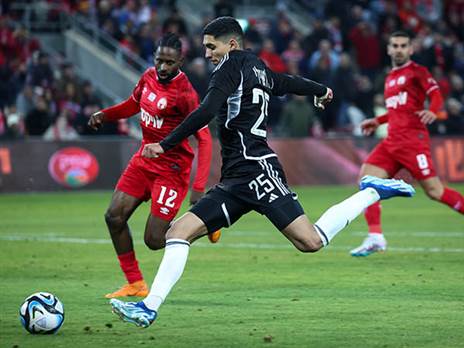 צעדים ארוכים (דני מרון)