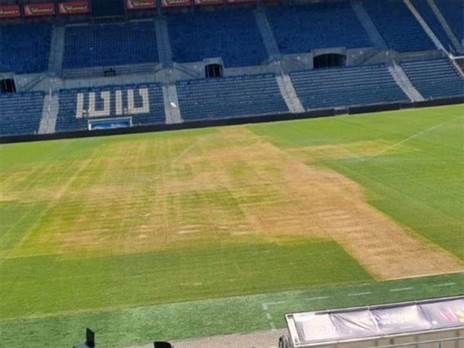 מצב הדשא בטדי