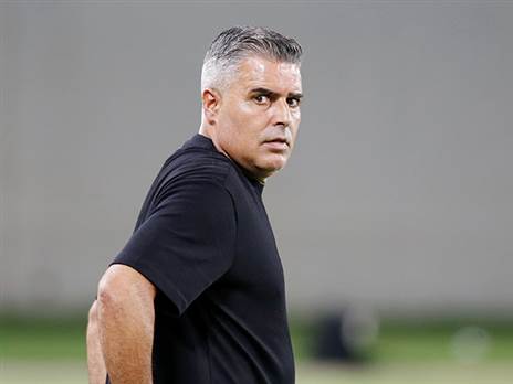 סילבס. מאוכזב (אלן שיבר)