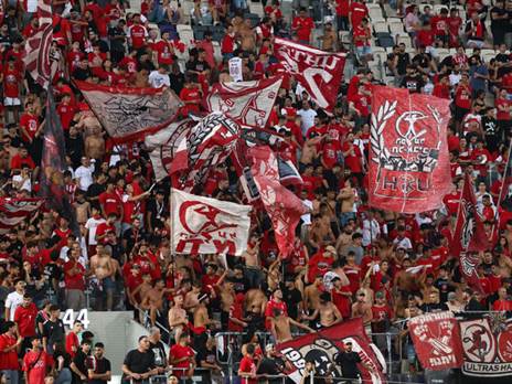 (צילום: דני מרון)