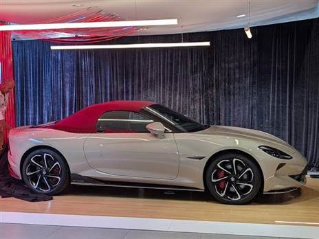 אפשרות התאמה אישית לצבע, תא נוסעים, גג וכמובן בין שתי יחידות הנעה