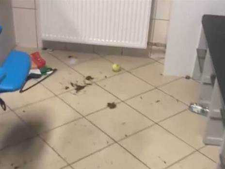 בוץ, תחבושות ובקבוקים ריקים