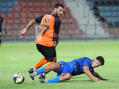 (אודי ציטיאט)