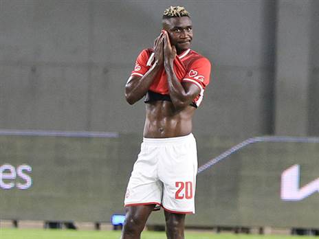 לא הולך לשום מקום (אלן שיבר)