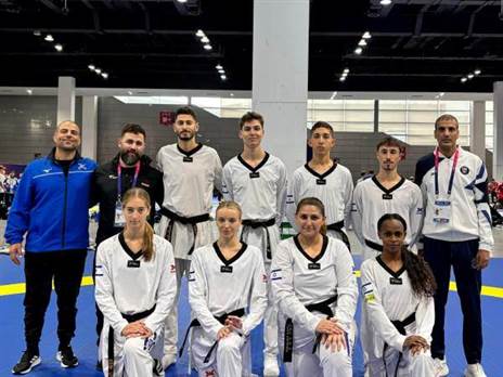 (איגוד הטקוואנדו)