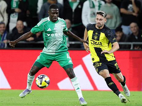 הציפייה הייתה למשחק גדול יותר (אלן שיבר)