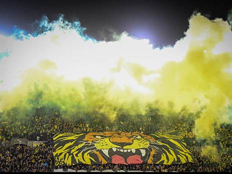 (ברני ארדוב)