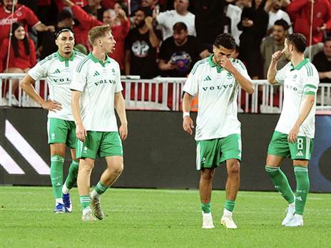 עדר ללא רועה (אלן שיבר)