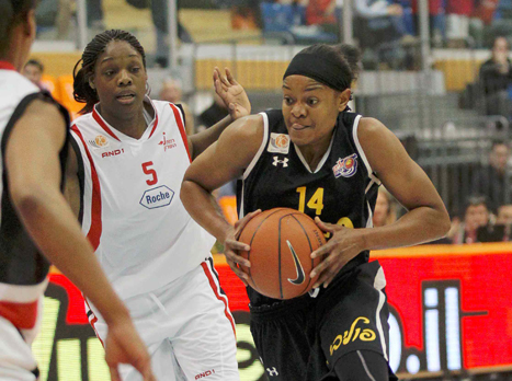 קשה בבית. בירד מול אנוסיקה (אלן שיבר)