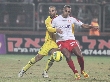 ראדי, מצפון לדרום (אלן שיבר)