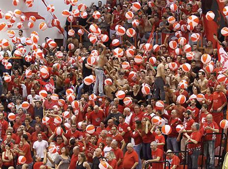 "נעקור כל סימני אלימות" (אלן שיבר)