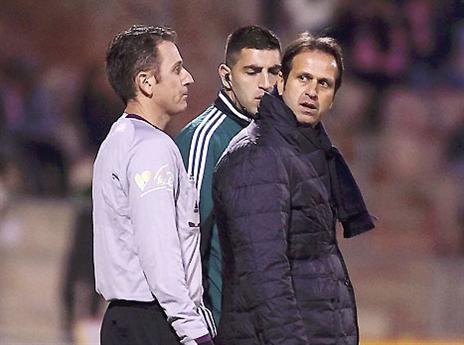 רוני לוי. ידיע באיחור? (אלן שיבר)