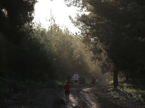 נופים עוצרי נשימה (צילום: גלעד קוולרצ'יק)