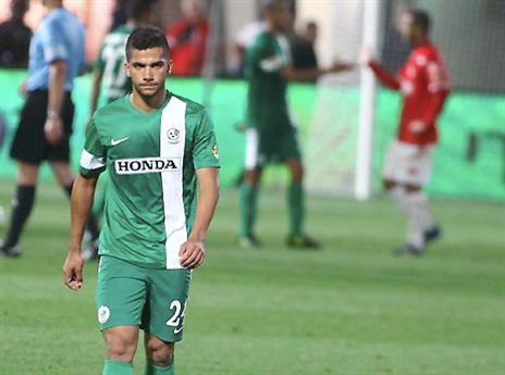 גוזלן. חילוף שלא נתן כלום (אלן שיבר)