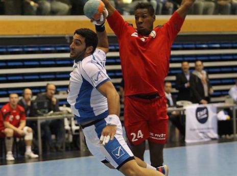 הדרך לפולין קשה (דוד פליגל, איגוד הכדוריד)