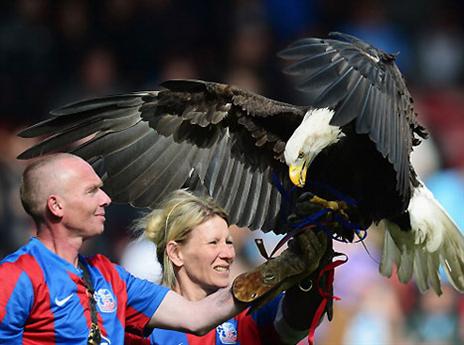 הקמע של קריסטל. לא עזר להם (gettyimages)