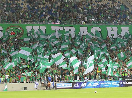 מופע שלא רואים בכל יום (אלן שיבר)