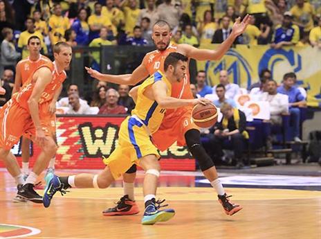 לאן רצים מכאן? (אלן שיבר)