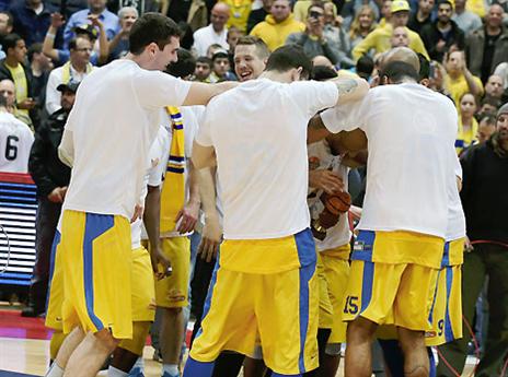 טירוף חושים צהוב (אלן שיבר)