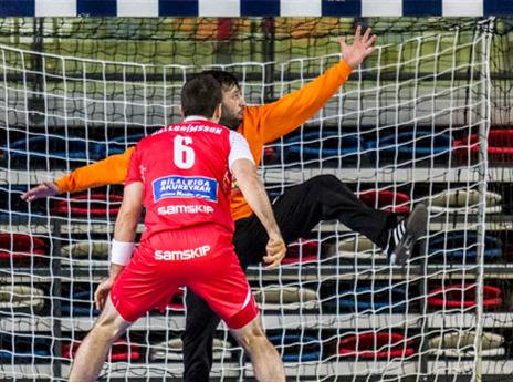 האיסלנדים מתחרים על המקום הראשון (יועד כהן, איגוד הכדוריד)