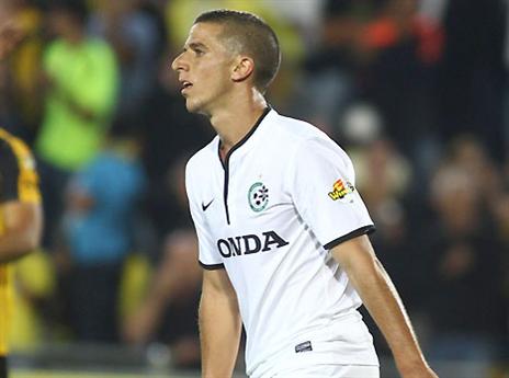 ורד. לא הסכים לסכומים שהוצעו לו (אלן שיבר)