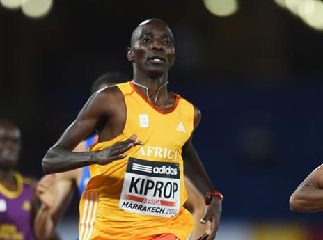 תוצאה נהדרת. קיפרופ (gettyimages)