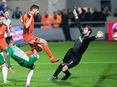 מוכן ומזומן. לויטה (צילום: עודד קרני)