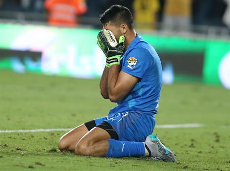 היה חשש להמשך הקריירה (צילום: אלן שיבר)