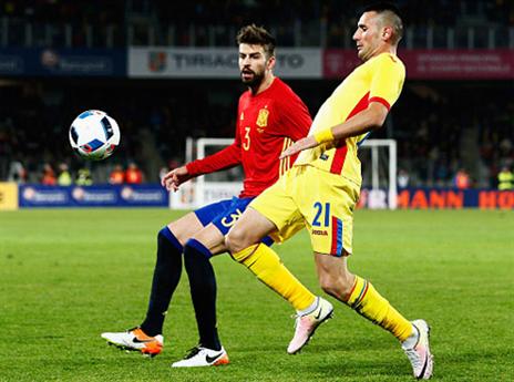 כמעט כבש. פיקה (Getty)