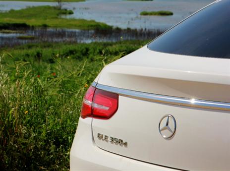 (צילום: אופיר דואק)