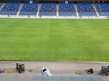 חמישה אחוזים מהדשא יהיו סינטטים