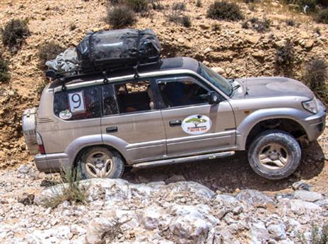 (צילום: יניב טל)